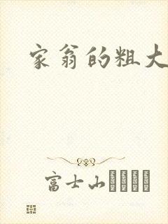 家翁的粗大封面