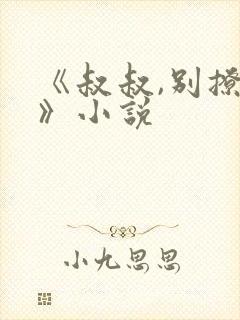 《叔叔,别撩我》小说