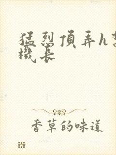 猛烈顶弄h禁欲机长