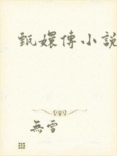 甄嬛传小说封面