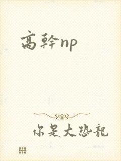 高干np封面