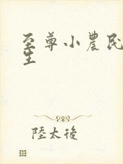 至尊小农民王木生封面