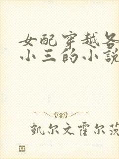 女配穿越各个做小三的小说