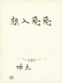 想入飞飞封面