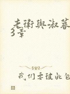 老卫与淑蓉第13章