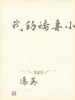我的娇妻小说