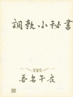 调教小秘书封面