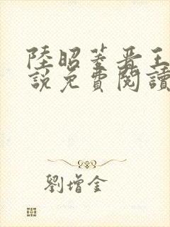 陆昭菱晋王的小说免费阅读