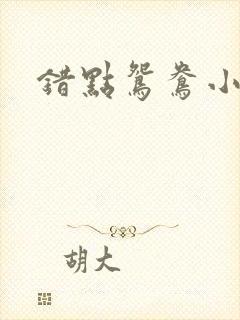 错点鸳鸯小说