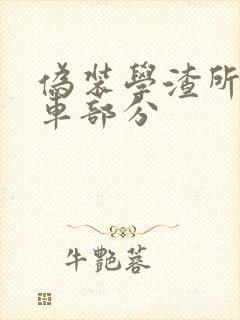 伪装学渣所有开车部分