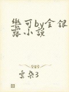 乐可by金银花露小说