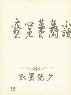 夜心万万小说完整免费阅读全文