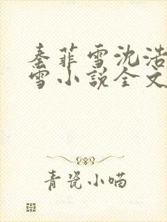 秦菲雪沈浩秦菲雪小说全文免费阅读求书