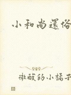 小和尚还俗记封面