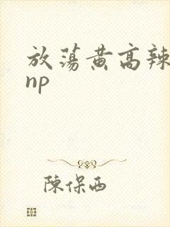 放荡黄高辣h文np