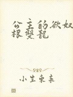 公主的欲奴h四根双龙