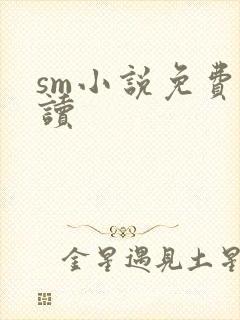 sm小说免费阅读