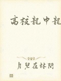 高校龙中龙封面