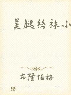 美腿丝袜小说封面