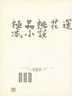 极品桃花运未删减小说封面