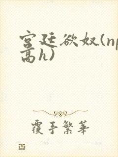 宫廷欲奴(np高h)