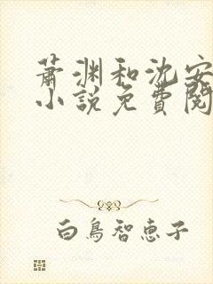 萧渊和沈安安的小说免费阅读