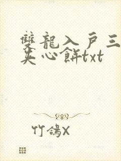 双龙入户三人行夹心饼txt