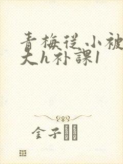 青梅从小被c到大h补课1