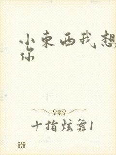 小东西我想弄坏你