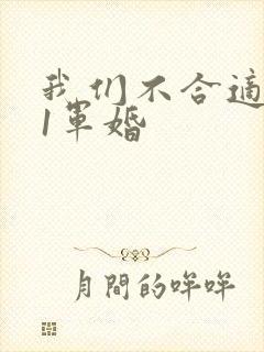 我们不合适1v1军婚