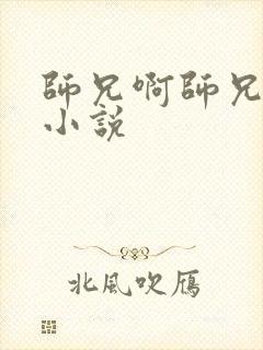 师兄啊师兄原著小说