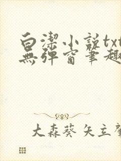 白洁小说txt无弹窗笔趣阁