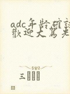 adc年龄确认欢迎大驾光临小说封面