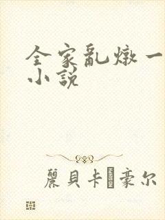 全家乱炖一锅烩小说