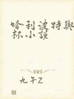 哈利波特与火焰杯小说