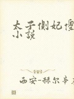 太子侧妃傻乎乎小说