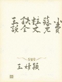 王铁柱苏小汐小说全文免费阅读最新章节