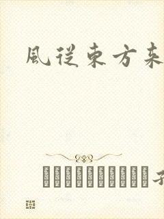风从东方来封面