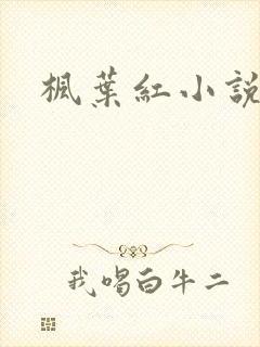 枫叶红小说封面