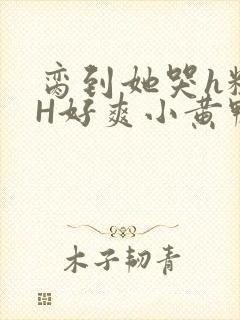 脔到她哭h粗话H好爽小黄鸭视频封面