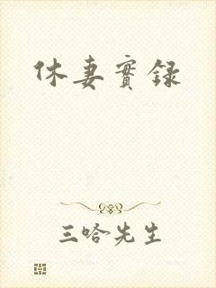 休妻实录封面