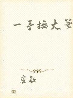 一手抚大笔趣阁封面