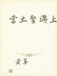 当土鳖遇上海龟