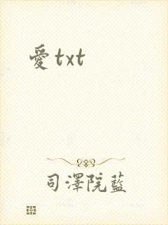 爱txt