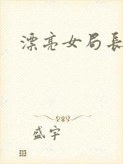 漂亮女局长封面