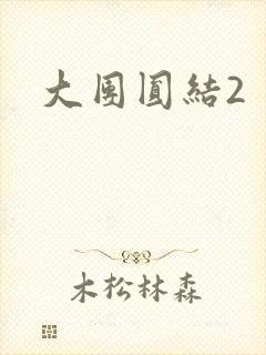 大团圆结2