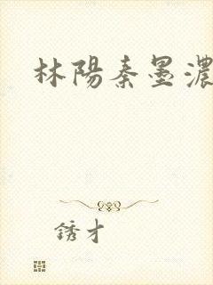 林阳秦墨浓度封面
