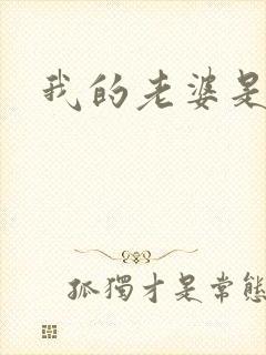 我的老婆是军阀封面