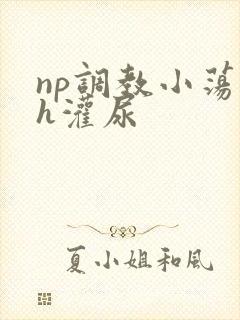 np调教小荡货h灌尿