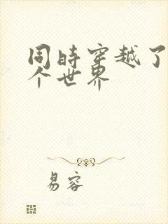 同时穿越了99个世界